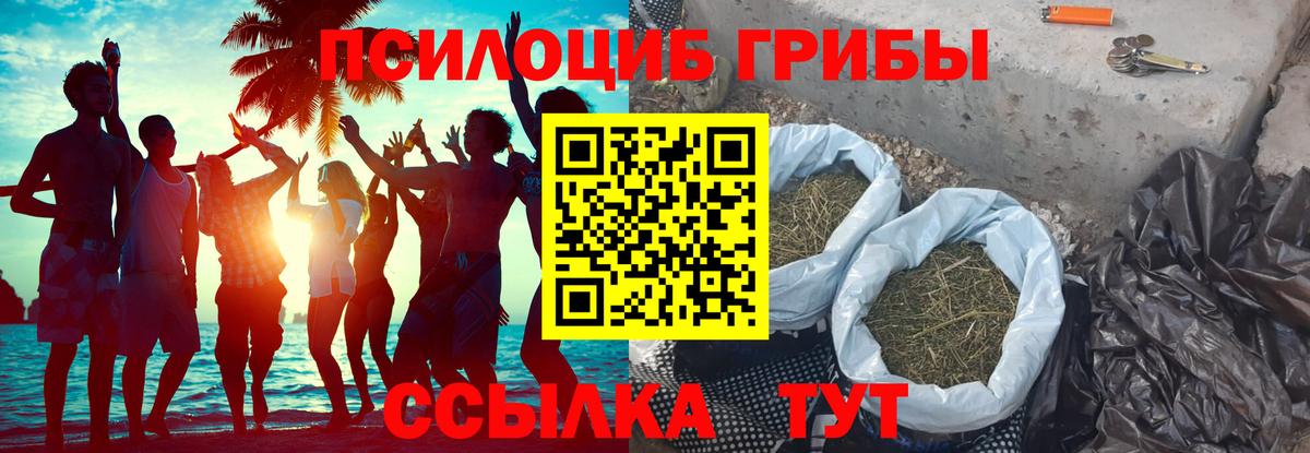 Псилоцибиновые грибы мицелий Кыштым