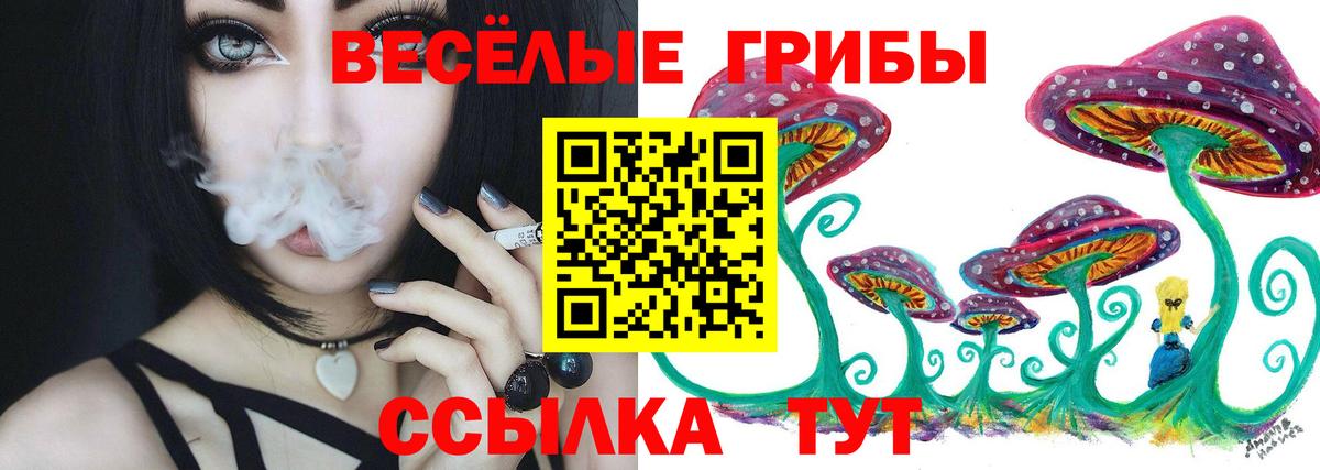 Псилоцибиновые грибы GOLDEN TEACHER  где купить   Кыштым  Вход с VPN 