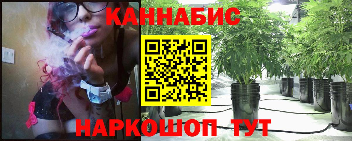 Канабис гибрид Кыштым